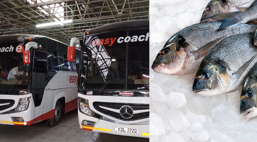 Easy Coach bans fish transportation in its buses